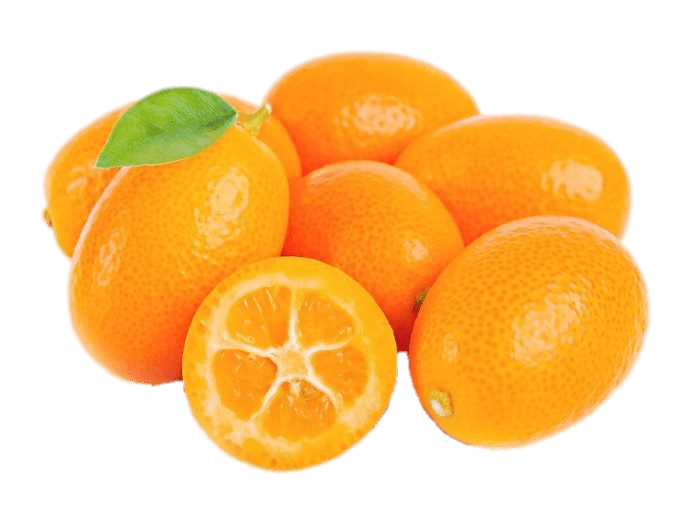 Ингредиент фото11